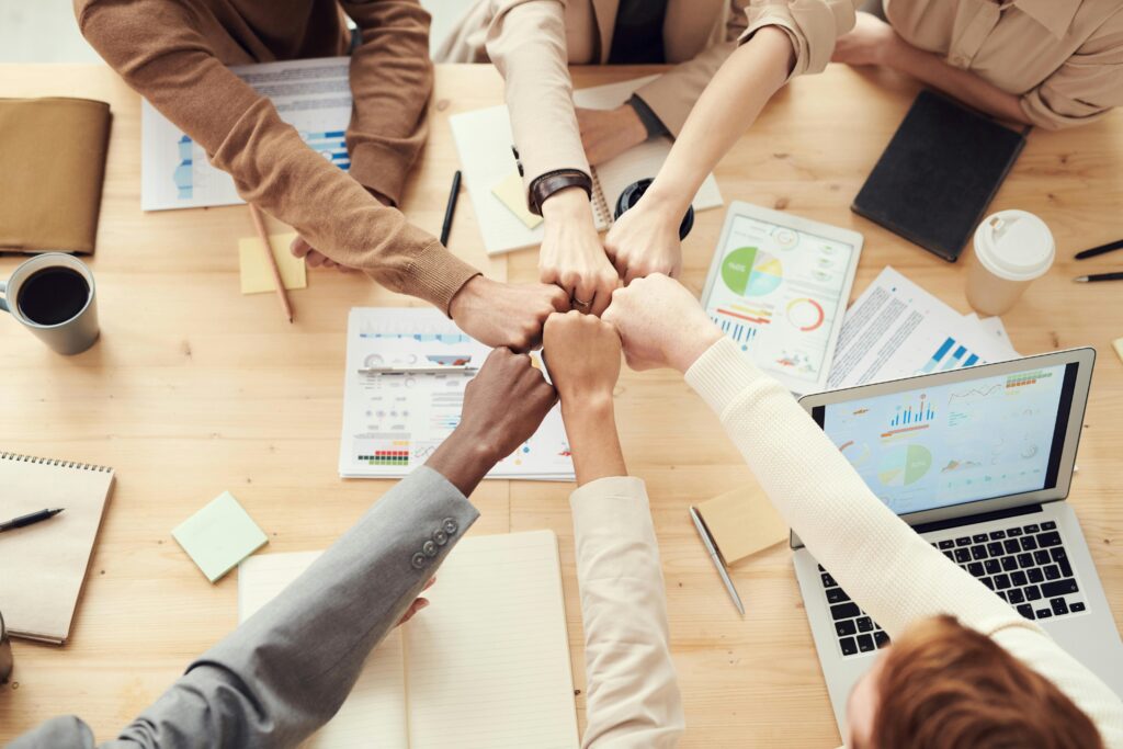 Accompagnement stratégique et opérationnel des organisations