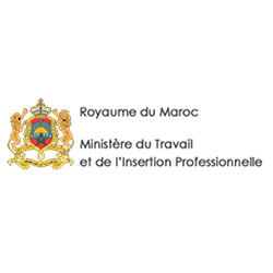 ministère du travail et de l'insertion professionnelle